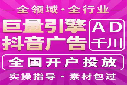 百度广告投放策略与效果评估案例